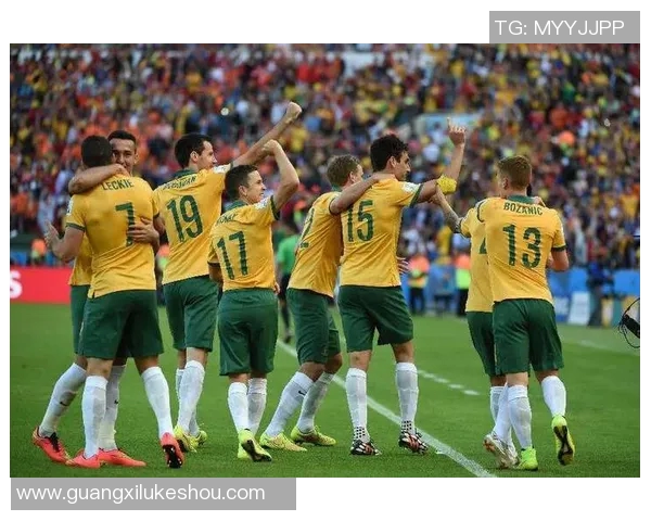 费内巴切与瓦尔达的激烈对决分析及比赛前瞻展望